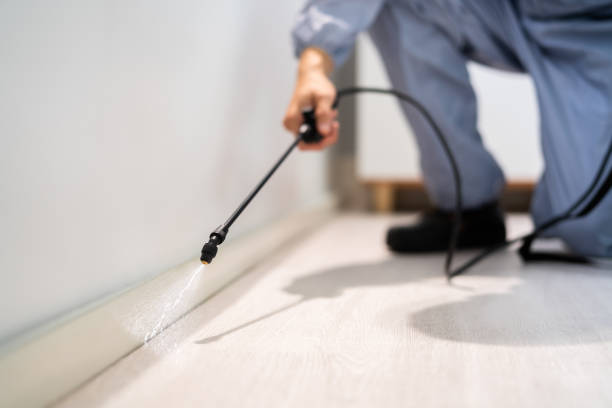 Licensed Termite Control service in Huntington, VA - Nex Pest Control