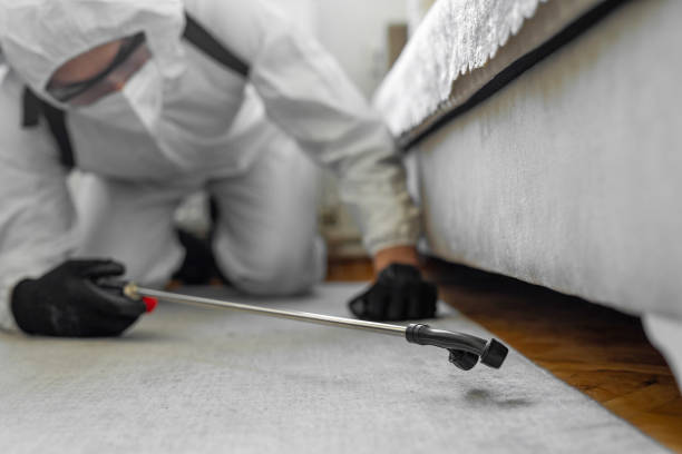 Professional Termite Control technician working in Huntington, VA