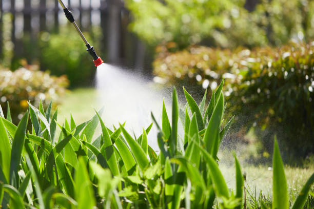 24/7 Emergency Termite Control experts in Huntington, VA