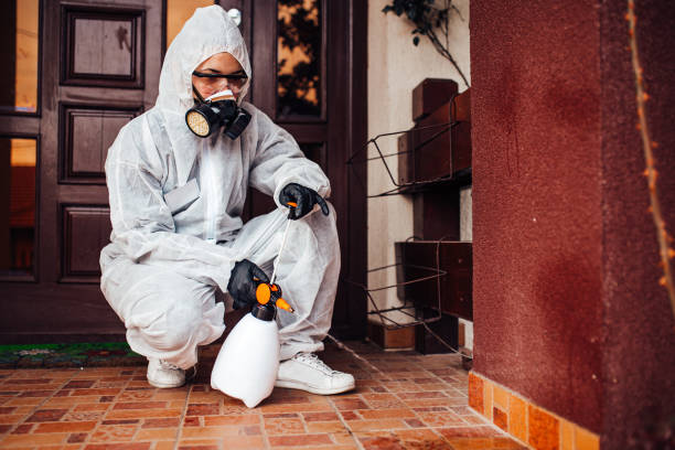 Reliable Termite Control contractor in Huntington, VA by Nex Pest Control